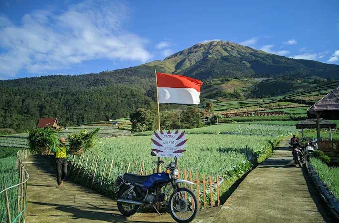 Desa Sayur Sukomakmur