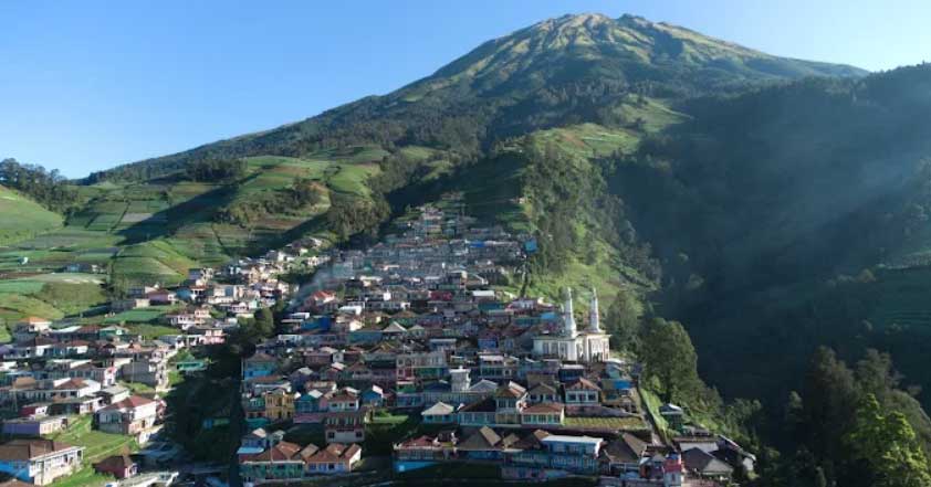 Nepal Van Java